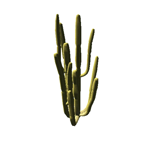 cactus 3 terrain